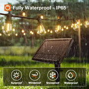 Solar Edison Patio String Lights thumbnail