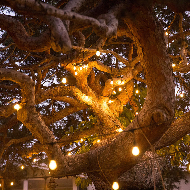 Solar Edison Patio String Lights