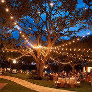 Solar Edison Patio String Lights thumbnail